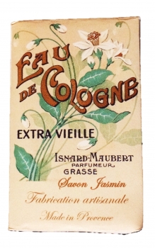 Jasmine