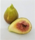Scented bouquet Fig